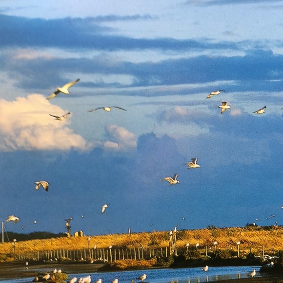 Meet your Posher, Lydia - Picture 1 of 1